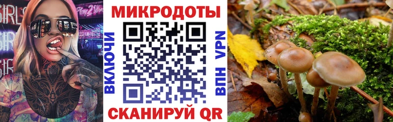 Галлюциногенные грибы ЛСД  закладка  omg онион  Петровск-Забайкальский 